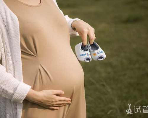 温州试管婴儿费用解析与助孕医院选择指南