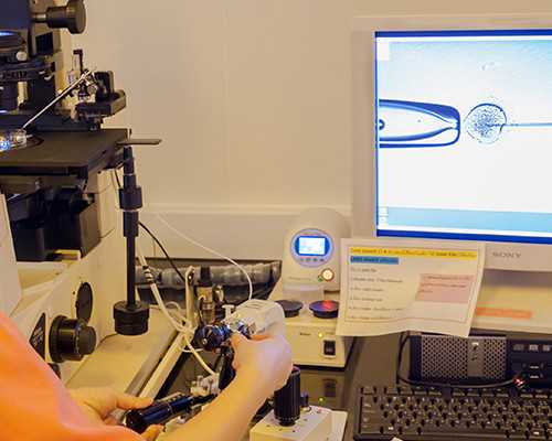 2025年三代供卵试管医院与卵源等待时间解析