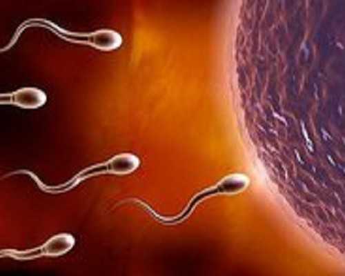 温州乐清试管婴儿医院选择与费用指南，助孕服务解析