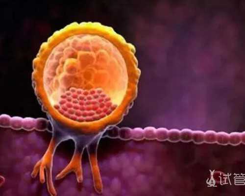 2025年浙江三代供卵试管医院排名与代生费用解析