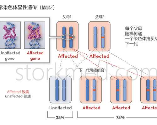 试管婴儿医院选择与费用解析：助孕技术全指南