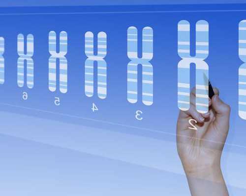 温州第三代试管婴儿费用解析与助孕服务指南