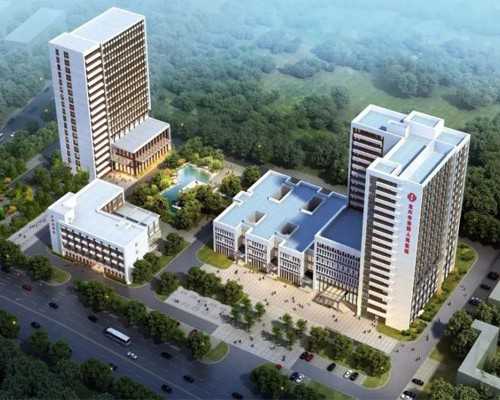 第三代试管助孕成功案例分享与经验解析