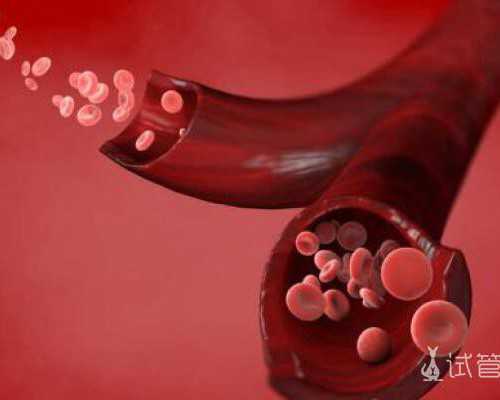 温州乐清试管婴儿医院选择与助孕服务指南