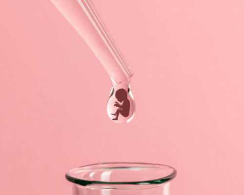 试管婴儿医院选择与成功率解析