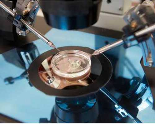 温州附二医院试管婴儿服务优势与专业解析