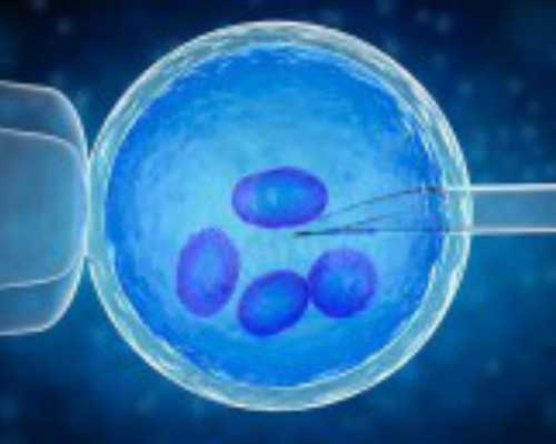 2024最新供卵试管医院排名与生殖中心指南