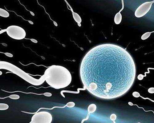 36岁试管婴儿成功几率与高龄生育风险解析