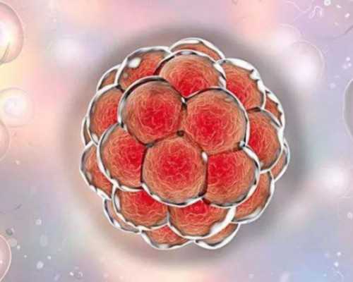 温州二院试管费用报销政策解析:助孕自费与医保使用指南