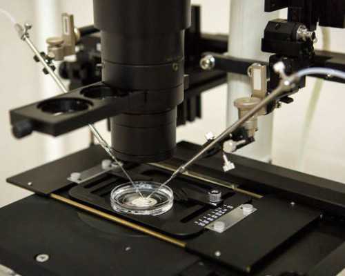 试管婴儿医院优选指南：助孕技术与服务解析