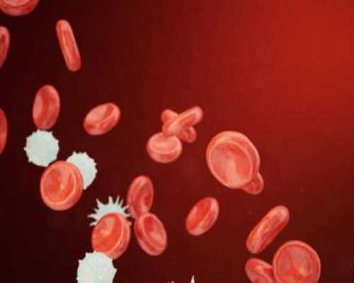 三代试管机构排名与推荐，本地友好选择助孕服务