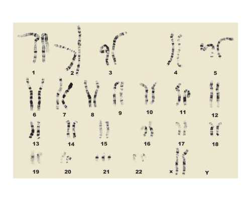 温州试管助孕与生殖中心服务解析