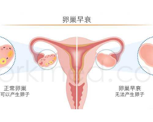 全国三代试管婴儿医院权威排名Top10，助您圆梦生子