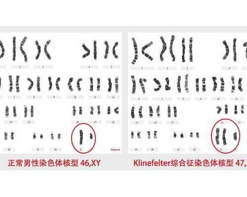 国内顶尖生殖中心医院推荐与选择指南